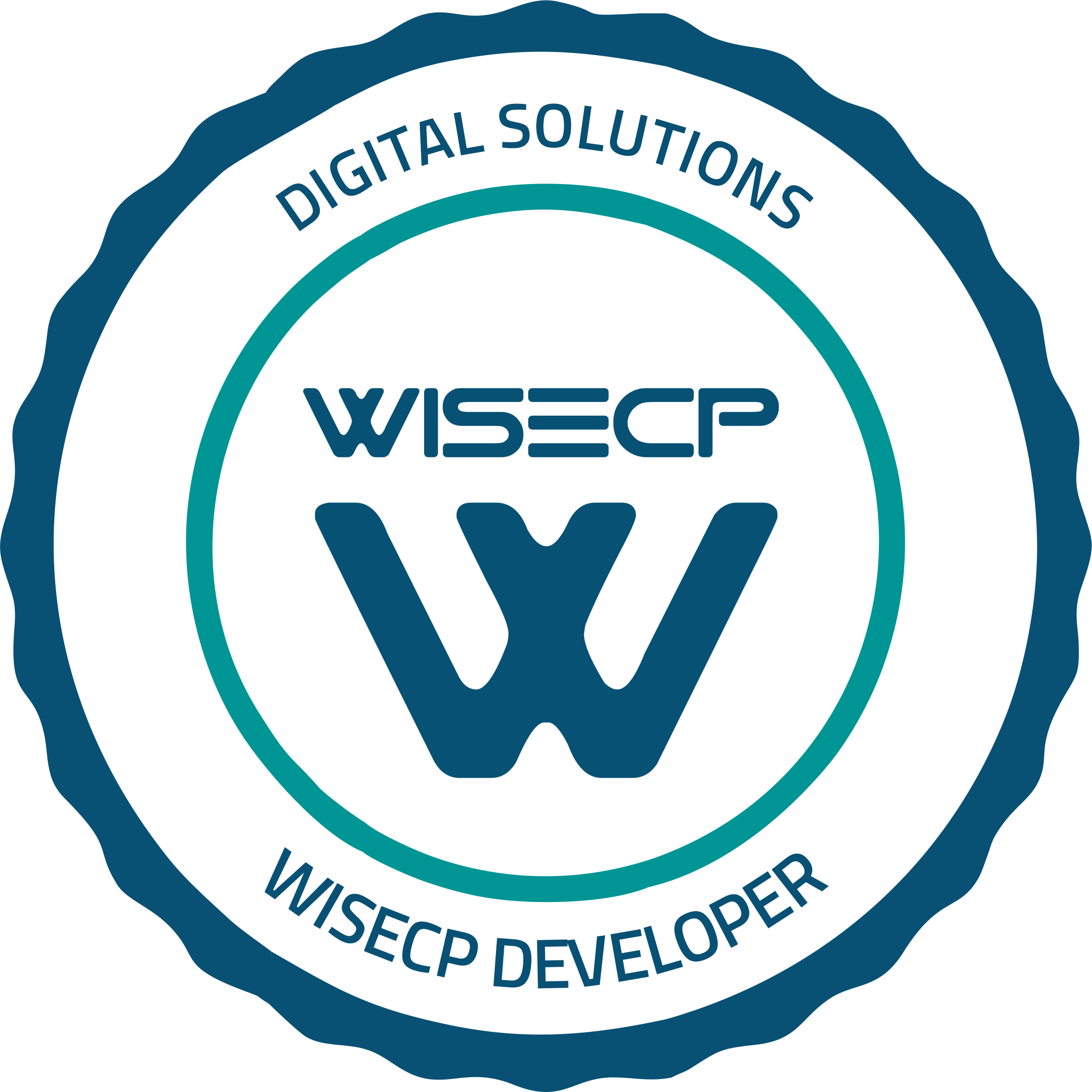 WiseCP Developer